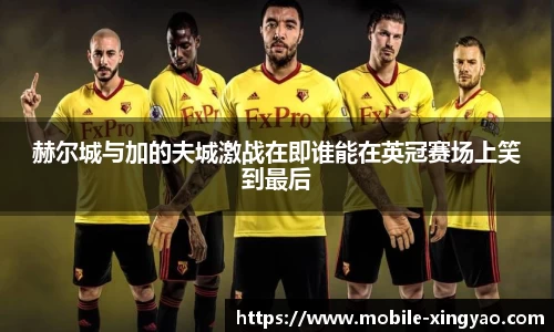 赫尔城与加的夫城激战在即谁能在英冠赛场上笑到最后